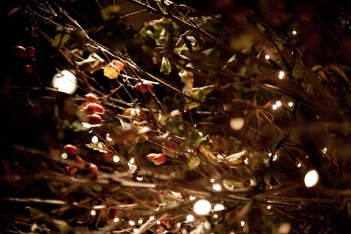 Livingroom_ogrisdebris_19